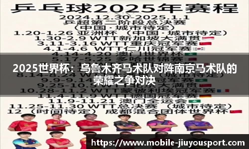 2025世界杯：乌鲁木齐马术队对阵南京马术队的荣耀之争对决